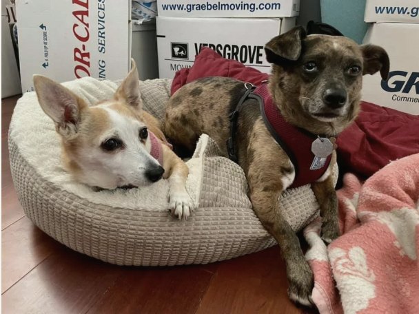 Maisie and Pepper