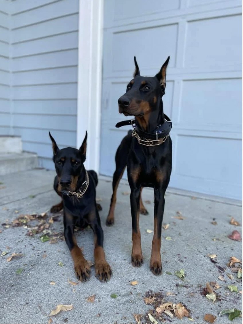Jasper (left) & Charlotte (right)